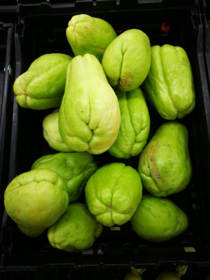 சௌசௌ / Chow Chow - Chayote